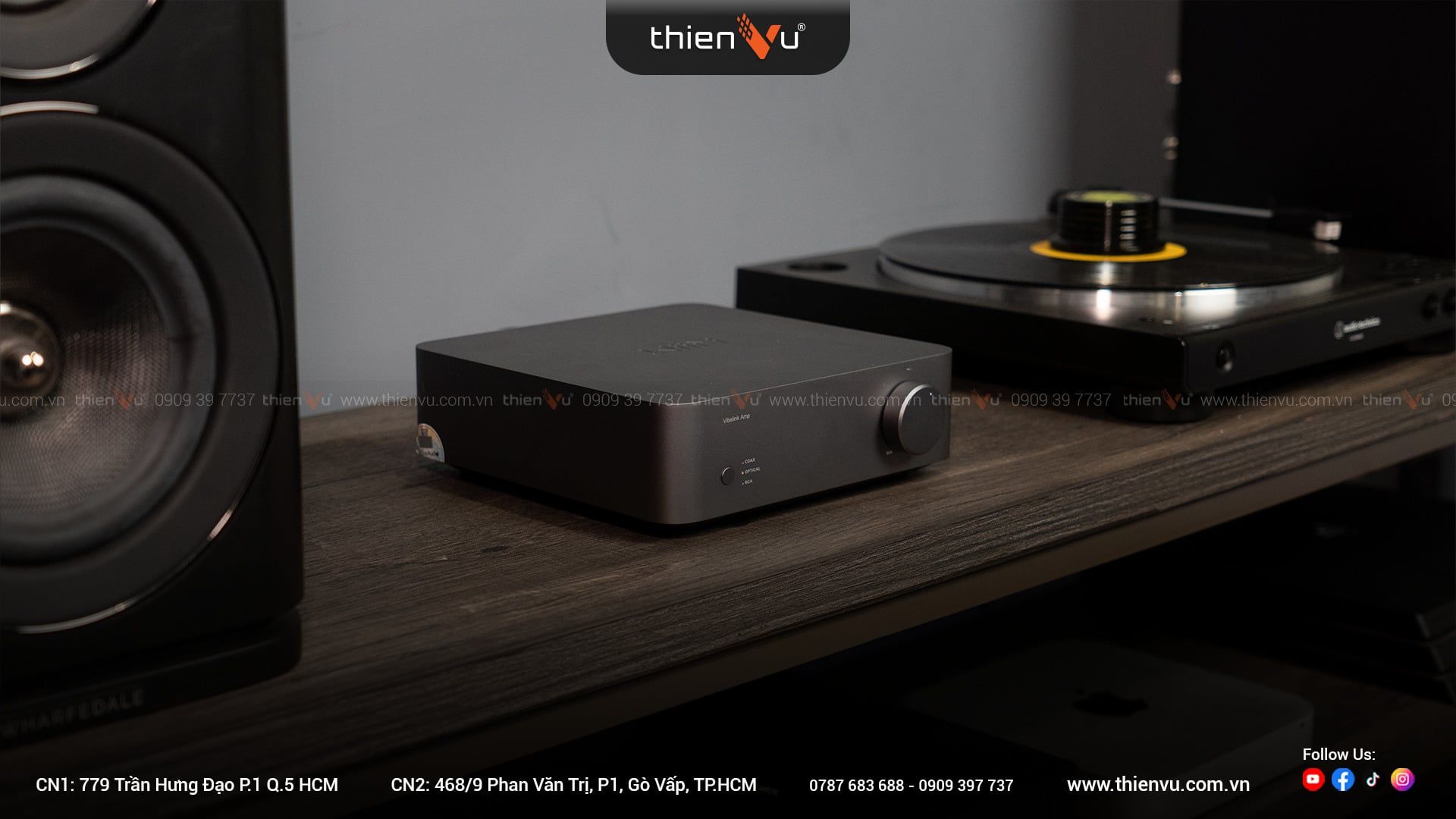 Amply Tích Hợp DAC Wiim Vibelink Amp - Hình 6