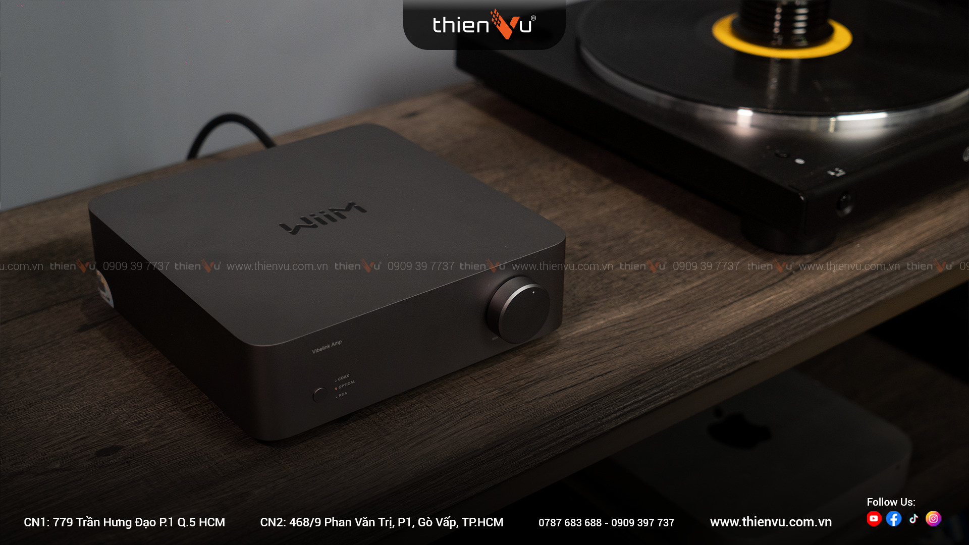 Amply Tích Hợp DAC Wiim Vibelink Amp - Hình 5