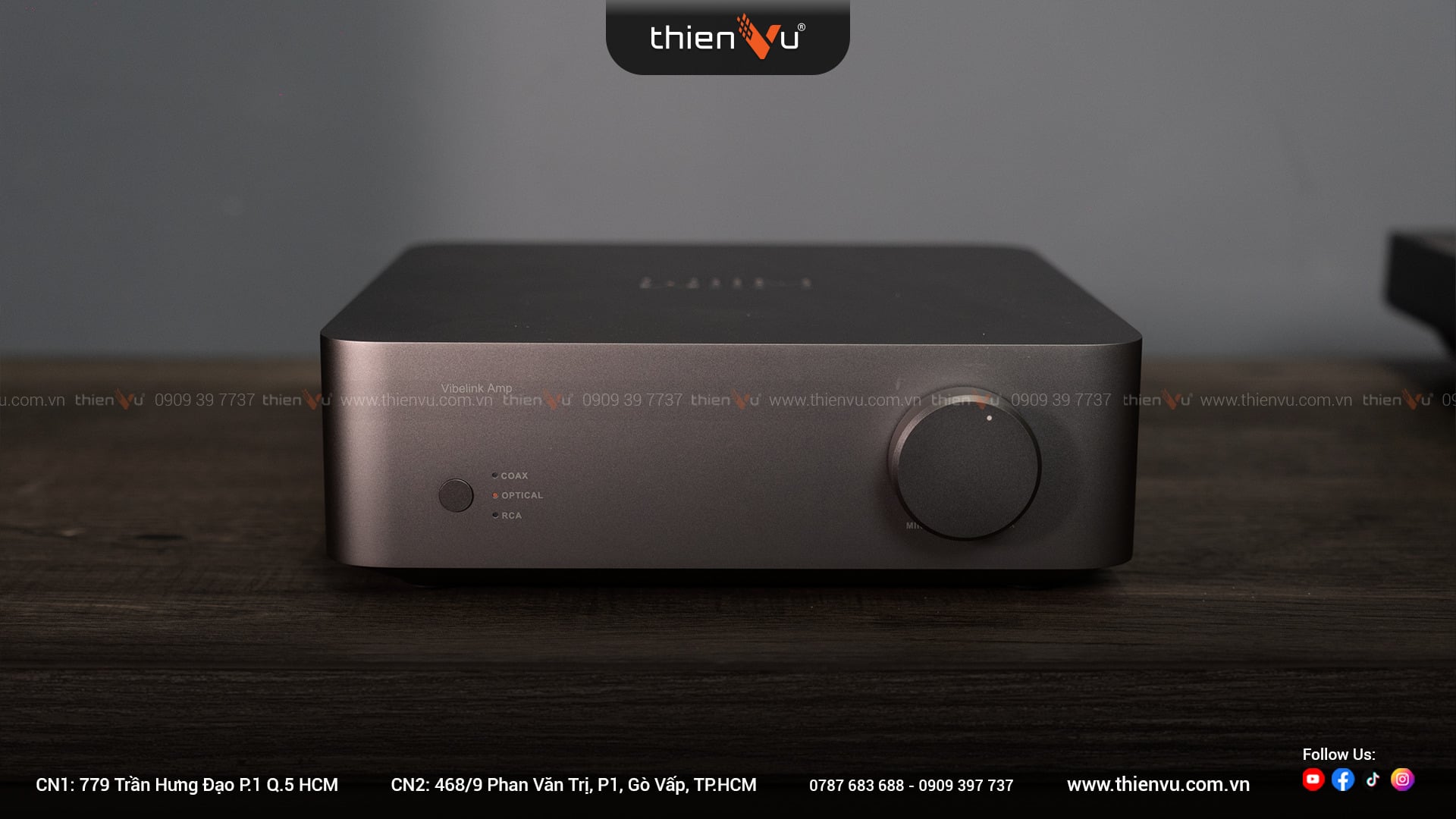 Amply Tích Hợp DAC Wiim Vibelink Amp - Hình 3