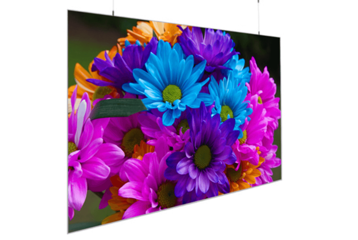 Màn chiếu DNP Supernova Blade 120 Inch (16:9) - Hình 1