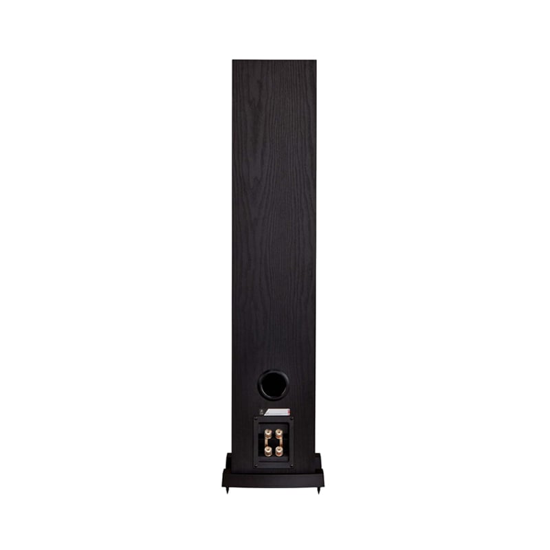 Loa nghe nhạc Fyne Audio F303i chính hãng - Hình 6