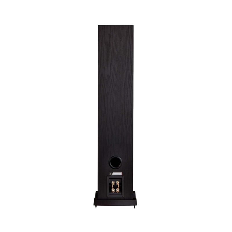 Loa nghe nhạc Fyne Audio F303i chính hãng - Hình 6
