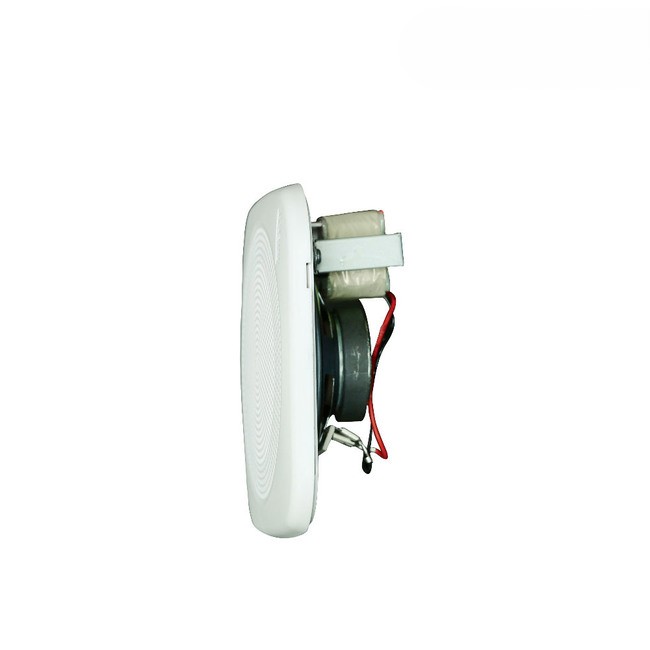 Loa Âm Trần Inter-M CS-303FQ - Hình 3