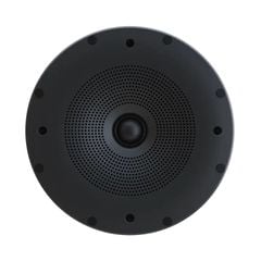Loa Âm Trần Perlisten X2ic Chính Hãng