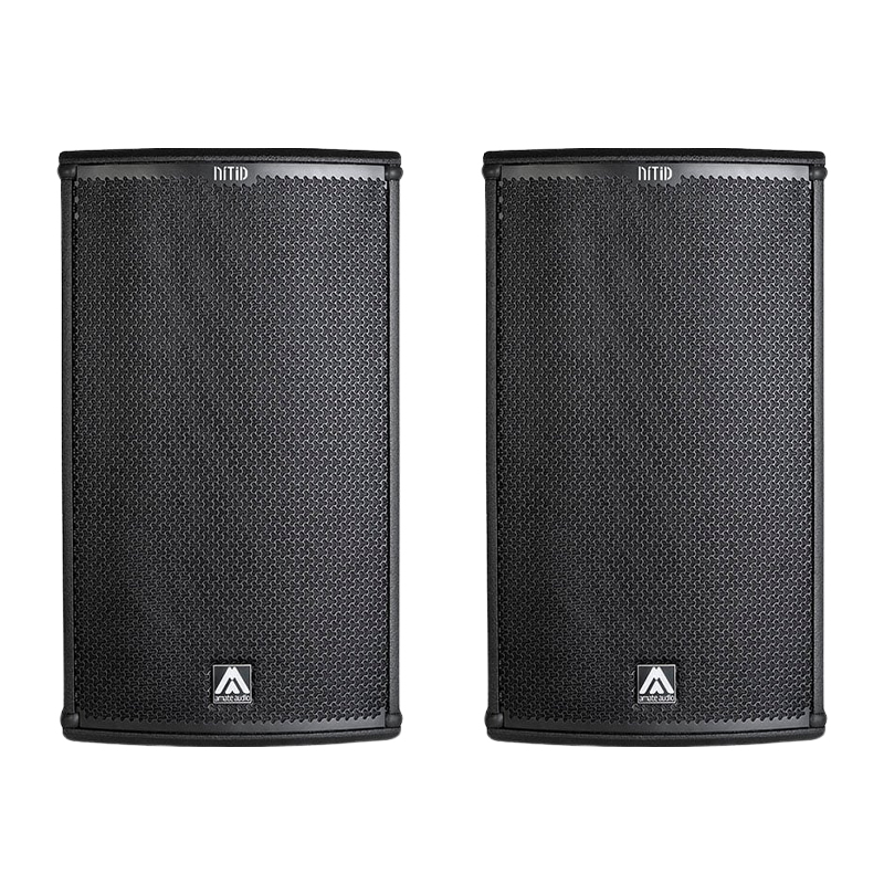 Loa Karaoke Amate Audio N12PR Chính Hãng - Hình 1