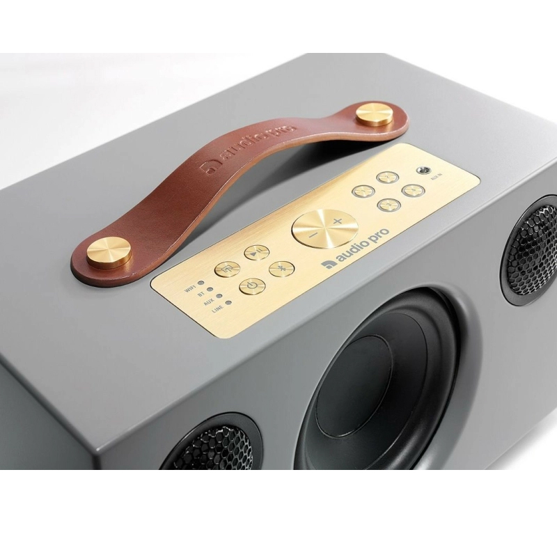 Loa Bluetooth Audio Pro Addon C5 chính hãng - Hình 5