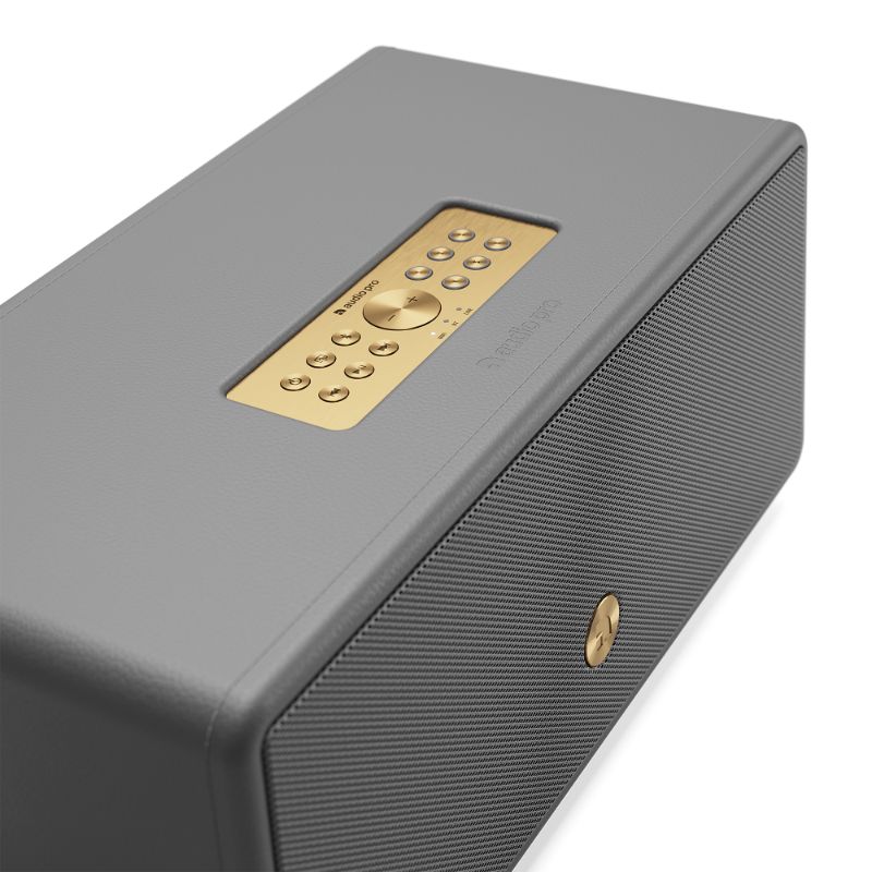 Loa Audio Pro D-2 Chính Hãng - Hình 5