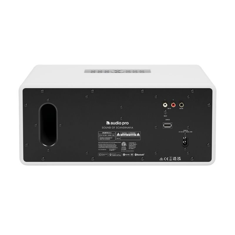 Loa Audio Pro D-2 Chính Hãng - Hình 7