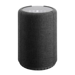 Loa Bluetooth Audio Pro A10 chính hãng - Thumb 1