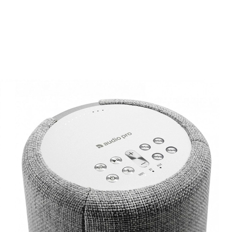 Loa Bluetooth Audio Pro A10 chính hãng - Hình 5