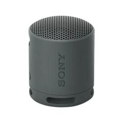Loa Bluetooth Sony SRS XB100 Chính Hãng - Thumb 1
