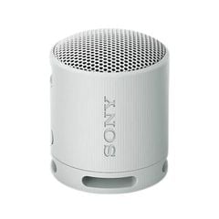 Loa Bluetooth Sony SRS XB100 Chính Hãng - Thumb 2