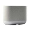 Loa Bluetooth Denon Home 400 Chính Hãng - Thumb 5