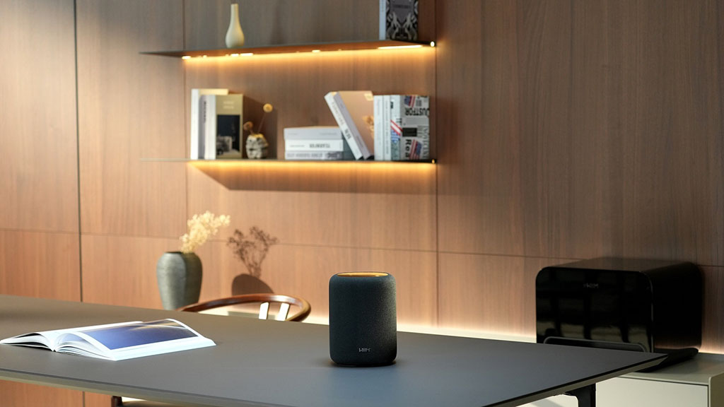Loa Bluetooth WiiM Sound Lite Chính Hãng - Hình 5