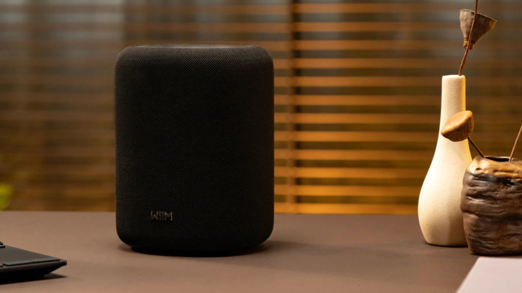 Loa Bluetooth WiiM Sound Lite Chính Hãng - Hình 3