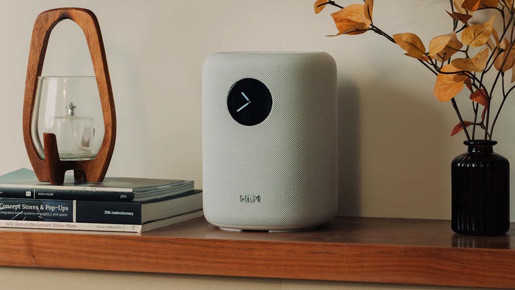 Loa Bluetooth WiiM Sound Mới Nhất - Hình 3