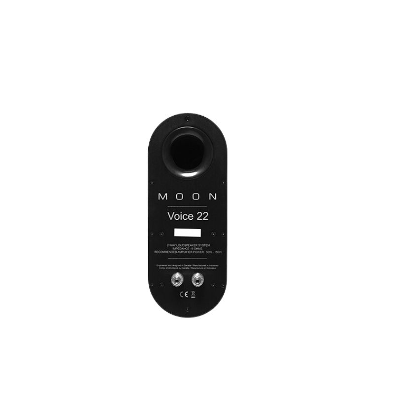 Loa bookshelf Moon Voice 22 chính hãng - Hình 4