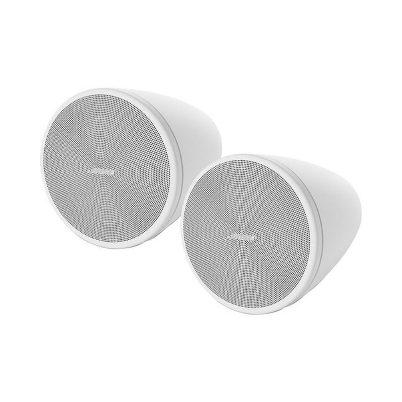 Loa Bose Design Max DM3P chính hãng - Hình 2