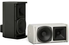 Loa Bose Pro ArenaMatch Utility AMU105 Chính Hãng - Thumb 8