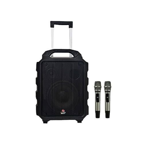 Loa karaoke di động Boston Acoustic H8P chính hãng - Hình 1