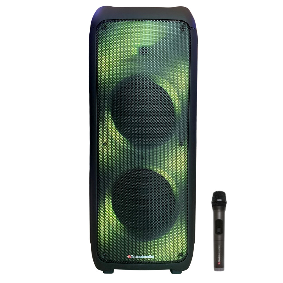 Loa karaoke di động Boston Acoustics 1202PB chính hãng - Hình 1