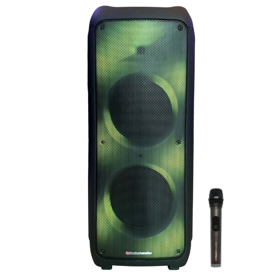 Loa karaoke di động Boston Acoustics 1202PB chính hãng - Hình 1