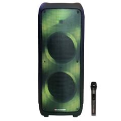 Loa karaoke di động Boston Acoustics 1202PB chính hãng - Thumb 1