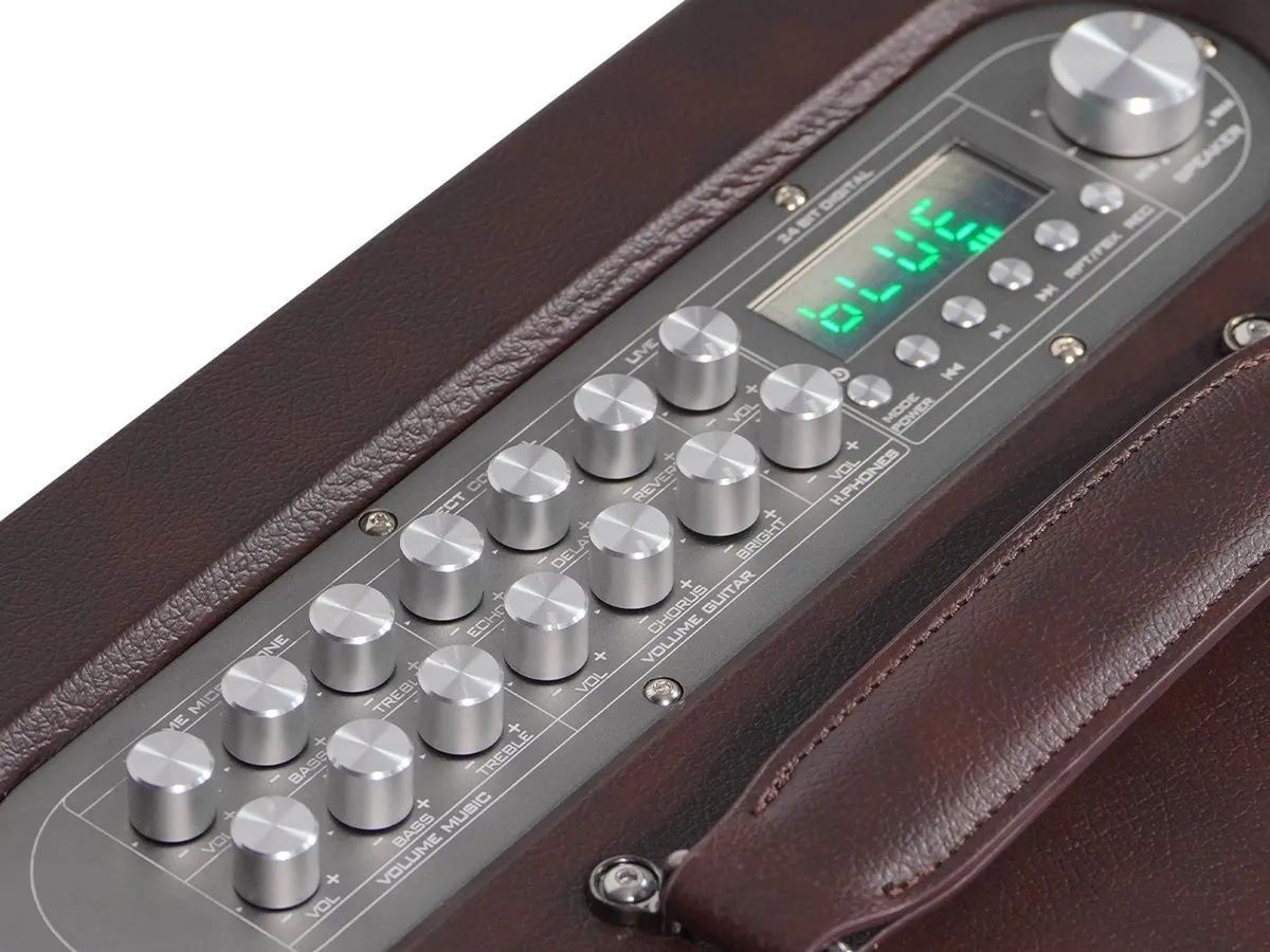 Loa Di Động Arirang MB2s Chính Hãng - Hình 4