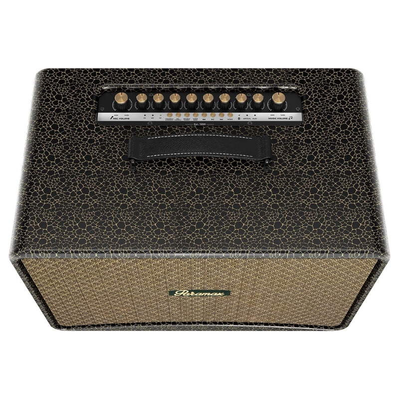 Loa Karaoke Di Động Paramax Art 88 Chính Hãng - Hình 4
