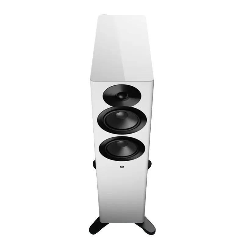 Loa Dynaudio Focus 30 XD Chính Hãng - Hình 5