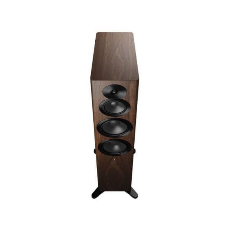 Loa Dynaudio Focus 50 Chính Hãng - Hình 2