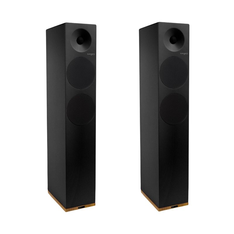 Loa Tangent Audio Spectrum X6 chính hãng - Hình 4