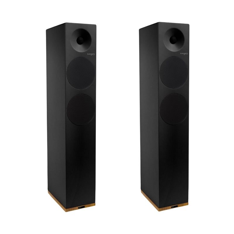 Loa Tangent Audio Spectrum X6 chính hãng - Hình 4