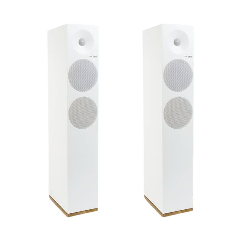 Loa Tangent Audio Spectrum X6 chính hãng - Hình 1