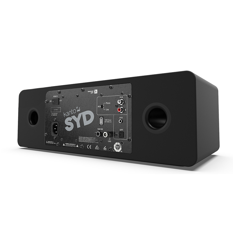 Loa Bluetooth Kanto SYD chính hãng - Hình 2