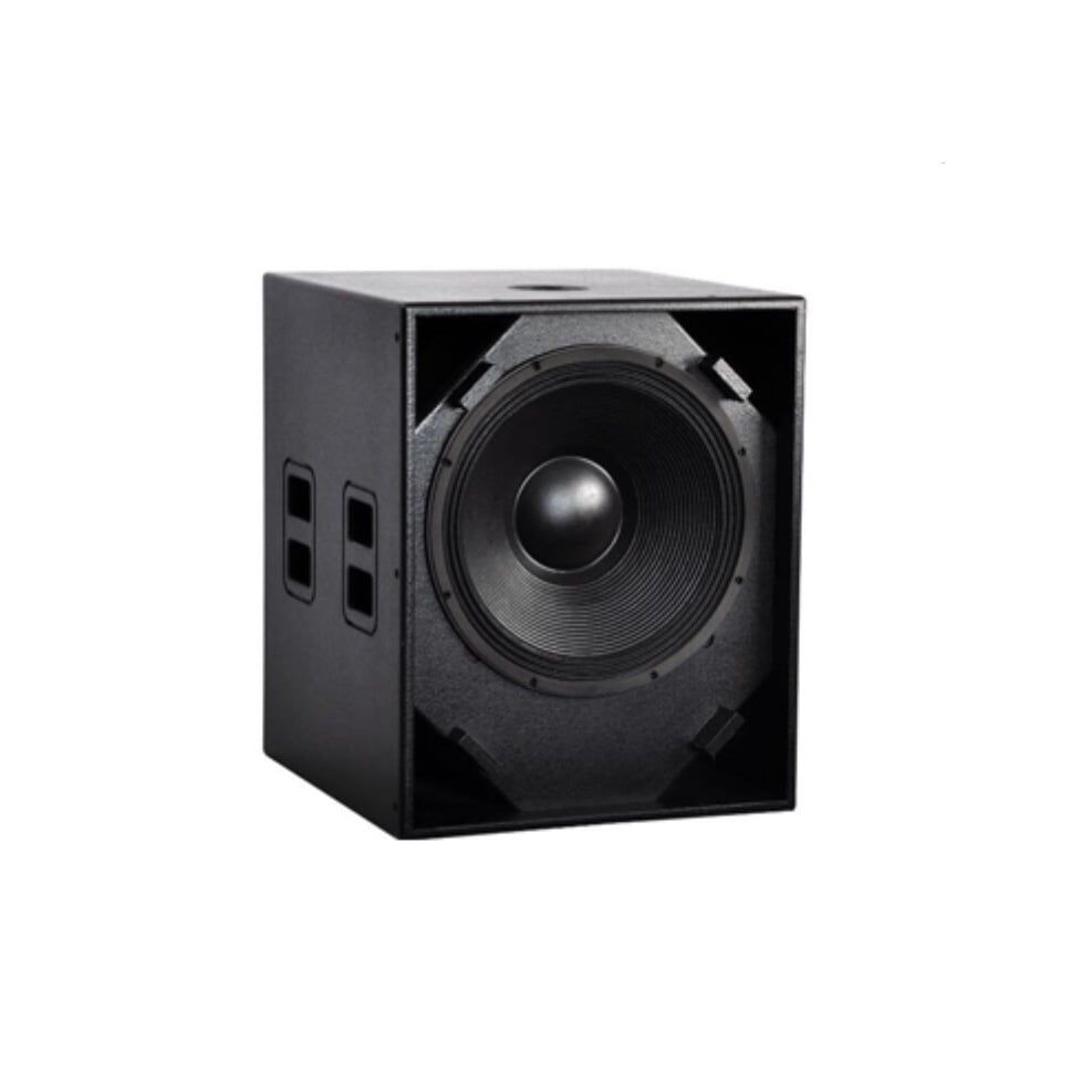 Loa Sub Karaoke AAP ASW 118 Chính Hãng - Hình 1