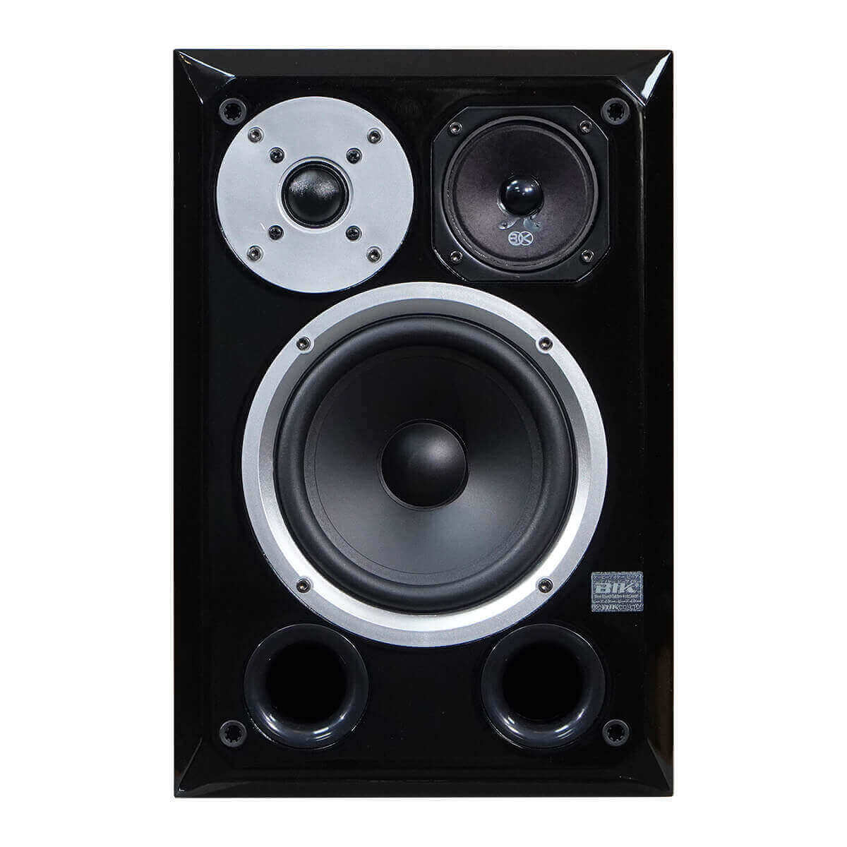 Loa Karaoke BIK BH-X631 Chính Hãng Hát Hay - Hình 3