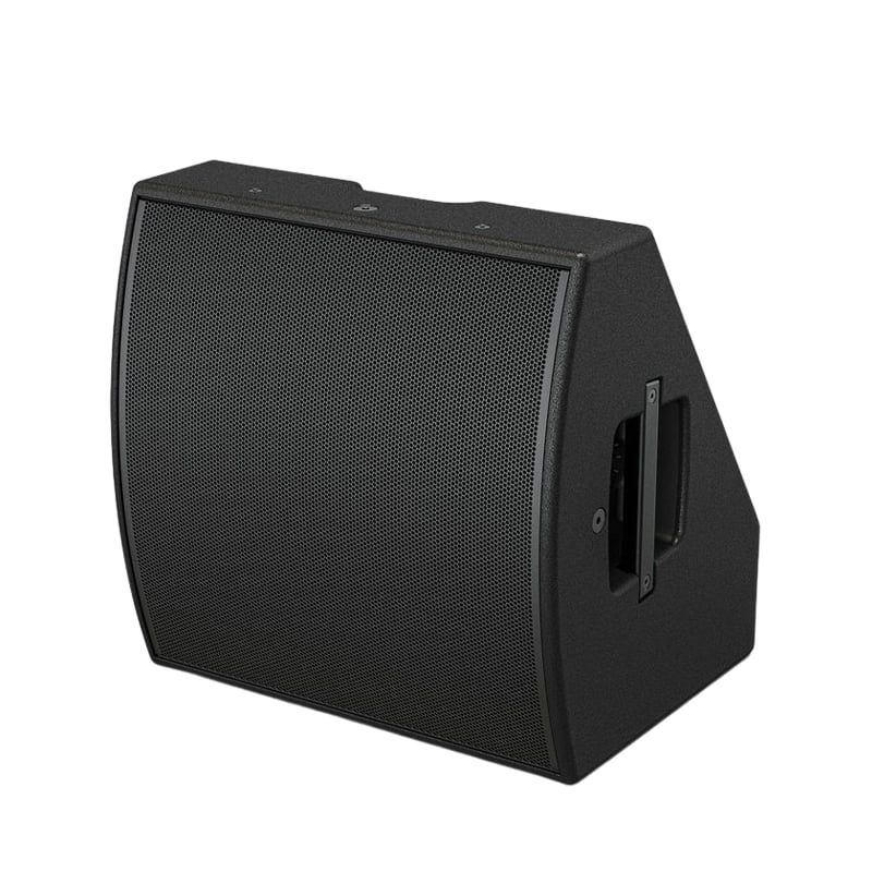 Loa Karaoke Bose AMM112 Multipurpose Chính Hãng - Hình 2