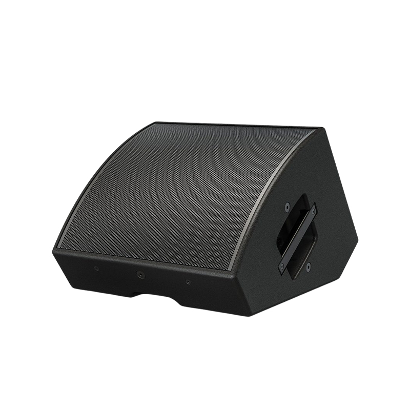 Loa Karaoke Bose AMM112 Multipurpose Chính Hãng - Hình 4