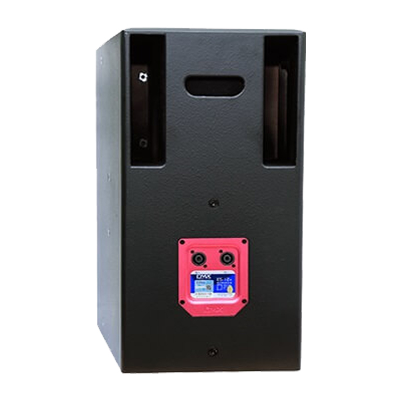Loa karaoke DMX ES-10 chính hãng - Hình 2