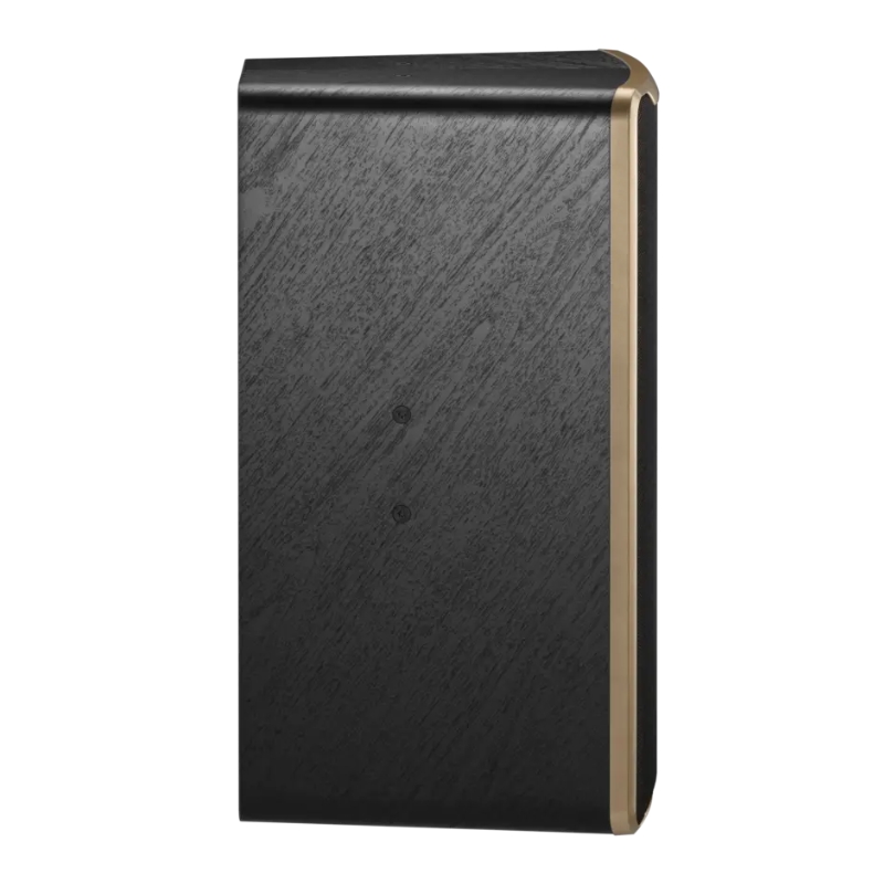 Loa Karaoke JBL Desire Pro D Mini - Hình 6
