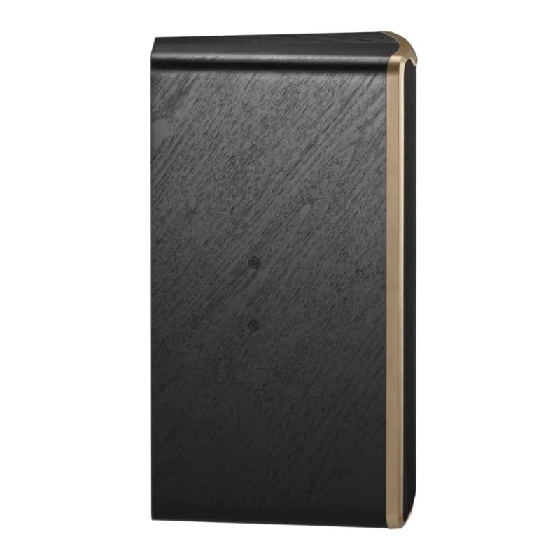 Loa Karaoke JBL Desire Pro D Mini - Hình 6