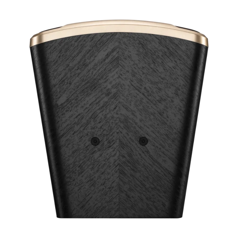 Loa Karaoke JBL Desire Pro D Mini - Hình 9