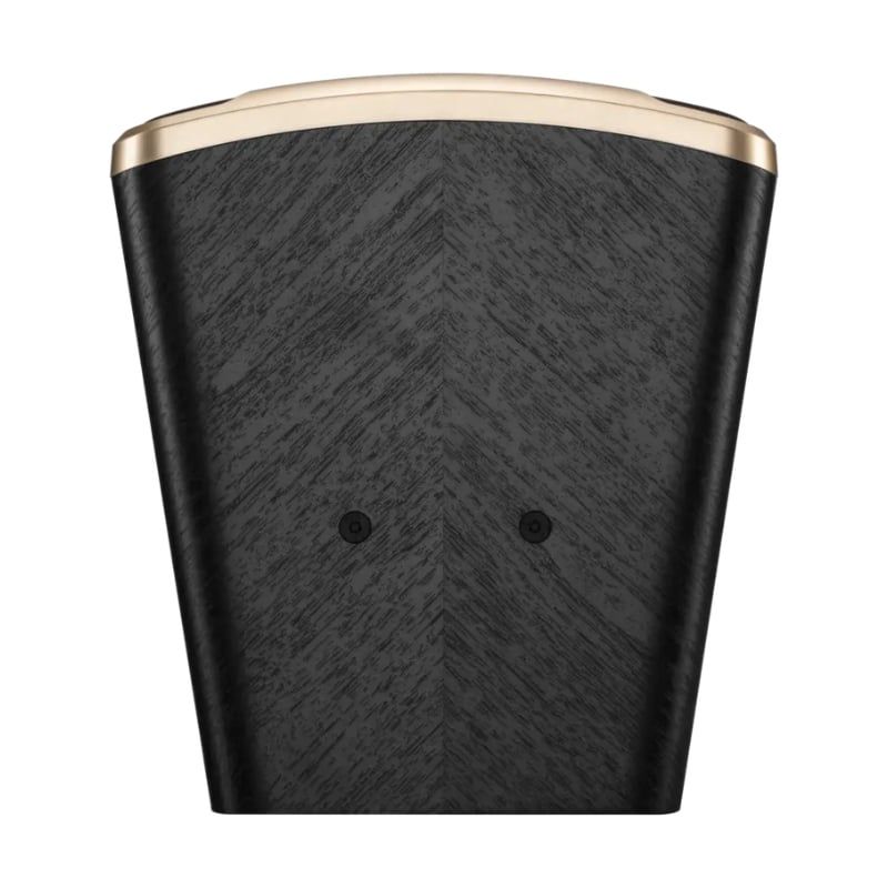 Loa Karaoke JBL Desire Pro D Mini - Hình 9