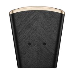 Loa Karaoke JBL Desire Pro D Mini - Thumb 9