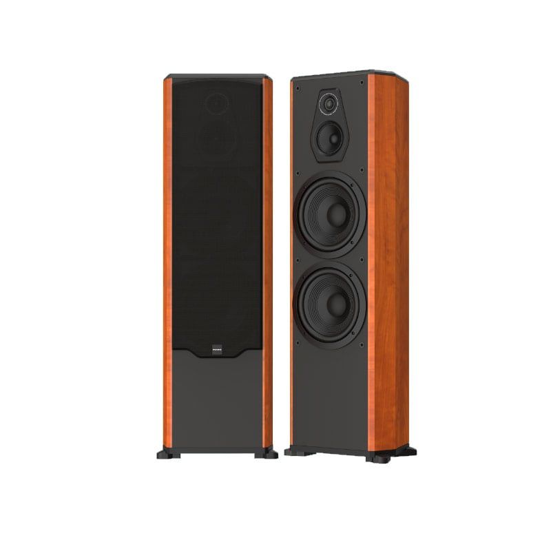 Loa karaoke Paramax FX2500 chính hãng - Hình 1
