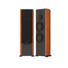 Loa karaoke Paramax FX2500 chính hãng - Thumb 1