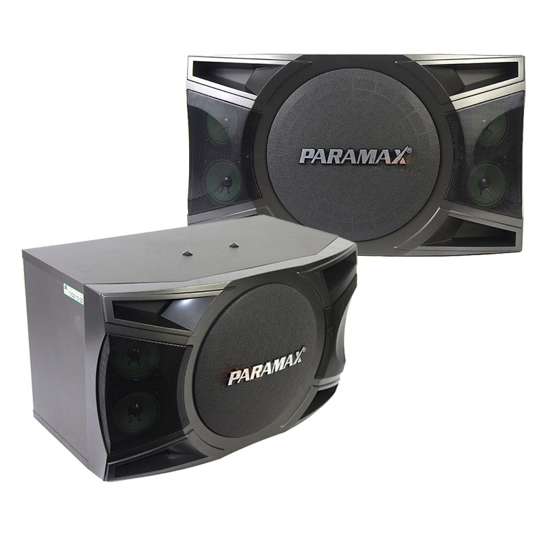 Loa karaoke Paramax P1000 chính hãng - Hình 1