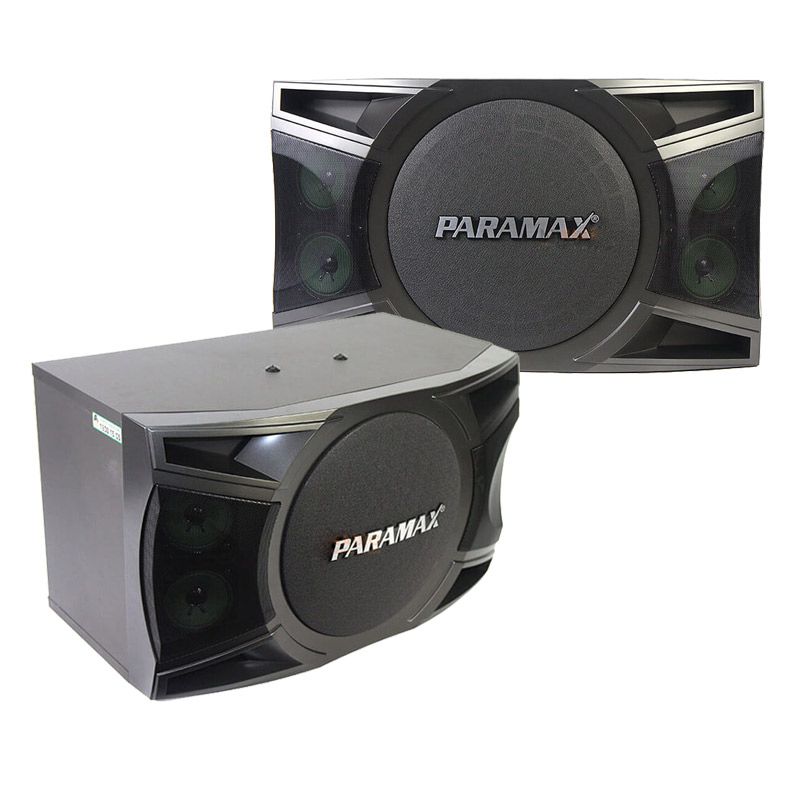 Loa karaoke Paramax P1000 chính hãng - Hình 1
