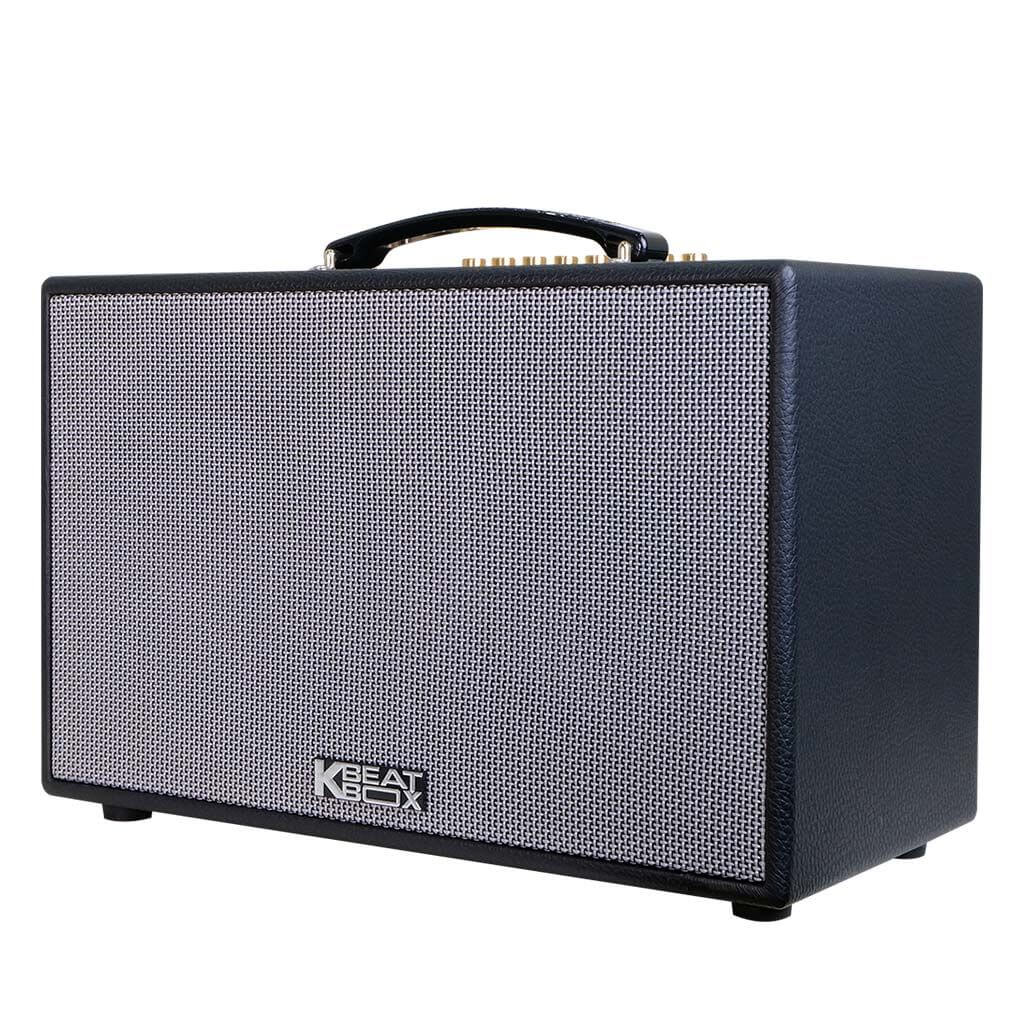 Loa karaoke di động Acnos CS201PU chính hãng - Hình 3